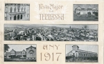 1917 FMT